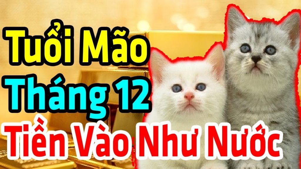 Thông tin tử vi tháng 8/2019 âm lịch tuổi Mão  